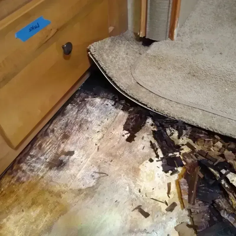 Best Wood Floor Water Damage Service in Pirtleville, AZ